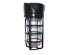 RAB VX200GB-3/4 Vaporproof 300W Incandescent Lamp 120V Black Color - With Soda Lime Glass and Wire Clamp Guard