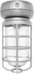 RAB VX2F32W Vaporproof 32W Compact Fluorescent Lamp 120V-277V White Color - With Clear Prismatic Glass and Die Cast Guard
