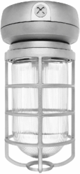 RAB VX2F42B Vaporproof 42W Compact Fluorescent Lamp 120V-277V Black Color - With Clear Prismatic Glass and Die Cast Guard