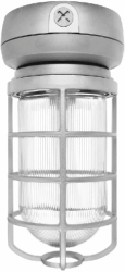 RAB VX2F42W Vaporproof 42W Compact Fluorescent Lamp 120V-277V White Color - With Clear Prismatic Glass and Die Cast Guard
