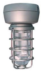 RAB VX2SH100QTB Vaporproof 100W High Pressure Sodium HID Lamp 120V-277V Black Color - With Glass Globe and Die Cast Guard