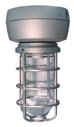 RAB VX2SN70W-3/4 Vaporproof 70W High Pressure Sodium HID Lamp 120V White Color - With Glass Globe and Die Cast Guard