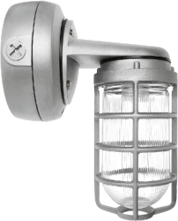 RAB VXBR1F26S-3/4 Vaporproof 26W Compact Fluorescent Lamp 120V-277V Silver Color - With Glass Globe and Die Cast Guard