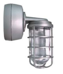RAB VXBR2SN35S-3/4 Vaporproof 35W High Pressure Sodium HID Lamp 120V Silver Color - With Glass Globe and Die Cast Guard