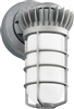 RAB VXBRLED13DG 13W LED Vaporproof Wall Mount, 5000K (Cool), 729 Lumens, 65 CRI, Natural Finish