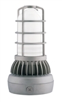 RAB VXLED13DG/UP-3/4 13W LED Vaporproof Ceiling Uplight, 5000K (Cool), 729 Lumens, 65 CRI, Natural Finish