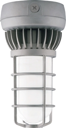 RAB VXLED13DGDC 13W LED Vaporproof Ceiling Mount, 10-30 VDC Lamp, Natural Finish