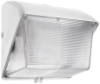 RAB WP1SN70W Wallpack Lexan Lens 70W High Pressure Sodium Lamp 120V White Color