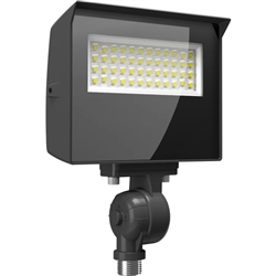 RAB X22-20 10-20W LED Floodlight, 1310-3120 Lumens, 120-277V, 3000K, 4000K and 5000K Color Temperature, 80 CRI, Bronze