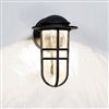 WAC Lighting WS-W24513-BZ 10W 13" Steampunk Outdoor LED Wall Sconce, 3000K Color Temperature, 90 CRI, 440 Lumens, Bronze