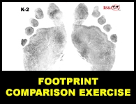 FOOTPRINT COMPARISON EXERCISE - #FPCE272