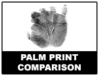 PALM PRINT COMPARISON EXERCISE #PPCE285