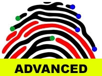 Advanced ACE-V Applications for Fingerprint Examiners - 08 August 19-23, 2024 - Beverly Hills, CA