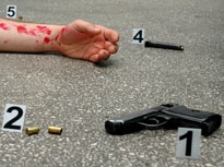 Forensic Examination of Violent Crime Scenes- 09 September 3-5, 2024 -Billings, MT