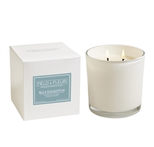 Blu Eucalyptus 2 Wick Candle in white glass 12oz Ctn 6