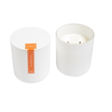 Citrus 2 Wick Candle in White vessel w/lid 10oz. Ctn. 6