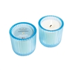 Seaside Citronella 1 Wick Colored Glass Candle 8oz Ctn.6