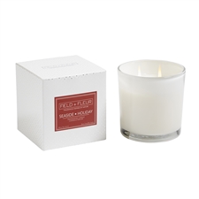 Seaside Holiday 2 Wick Candle In White Glass 12oz. Ctn. 6