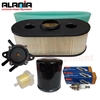 Tune up kit<br>Kawasaki FH580V FH541V FH430V FH381V FH480V