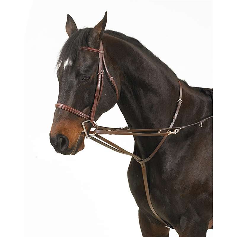 Camelot; German Martingale Rein