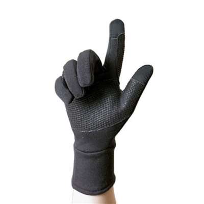 Lds Smarttap Fleece Glove