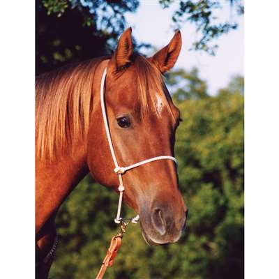 Martin Saddlery Rope Headsetter Tiedown