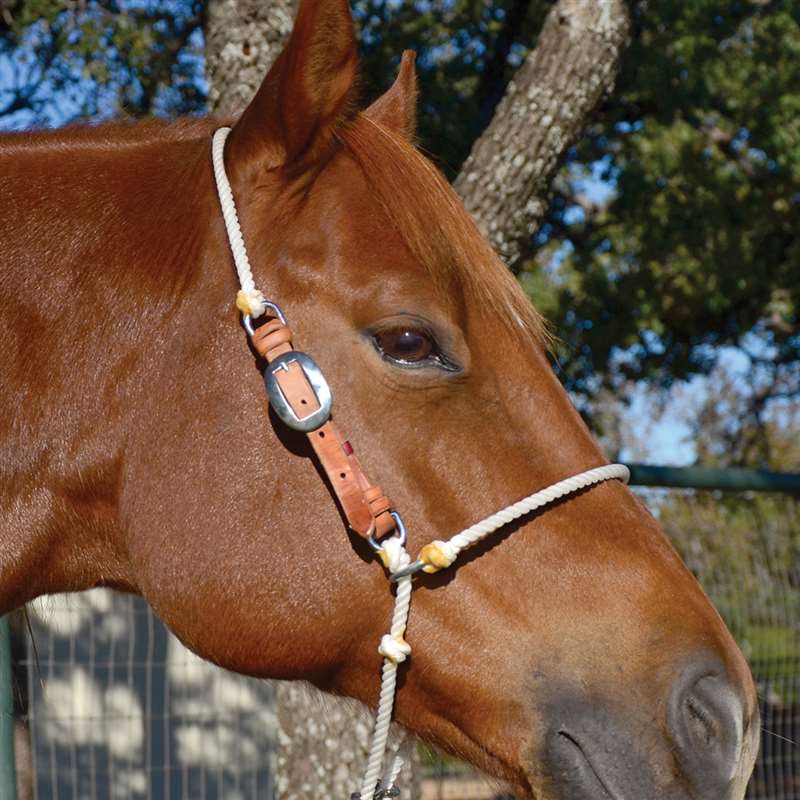 Martin Saddlery Adjustable Rope Headsetter