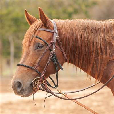 Martin Saddlery Bonnet Tie Down