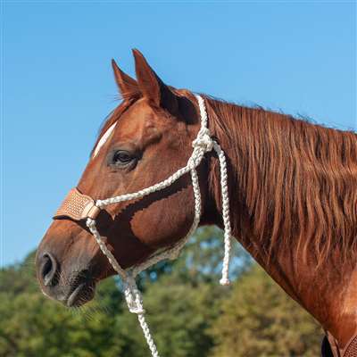 Cashel Braided Rope Halter with Basket Tooled Leather Nose and Leadrope