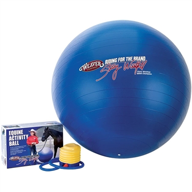 Stacy Westfall Activity Ball, Medium