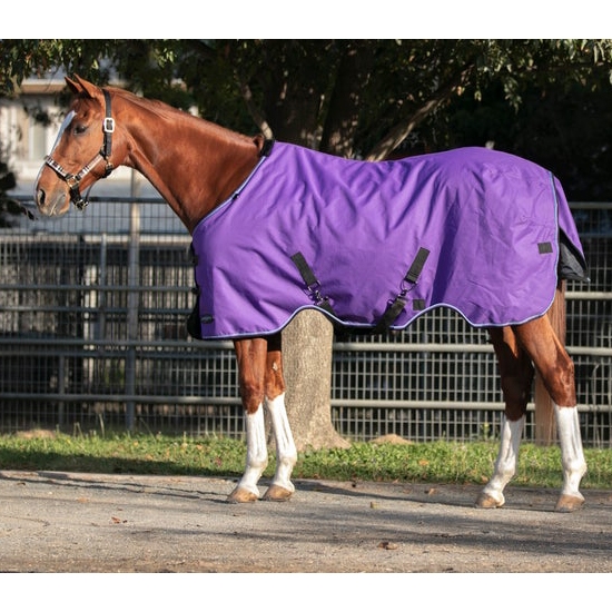Kensington Signature Heavy Weight Horse Turnout Blanket