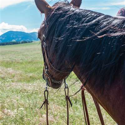 Cashel Harness Split Reins 5/8-inch Thick Tied Ends