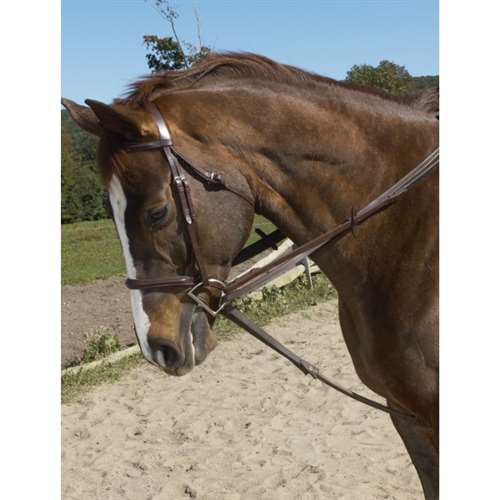 Ovation Stretch Cord Draw Reins