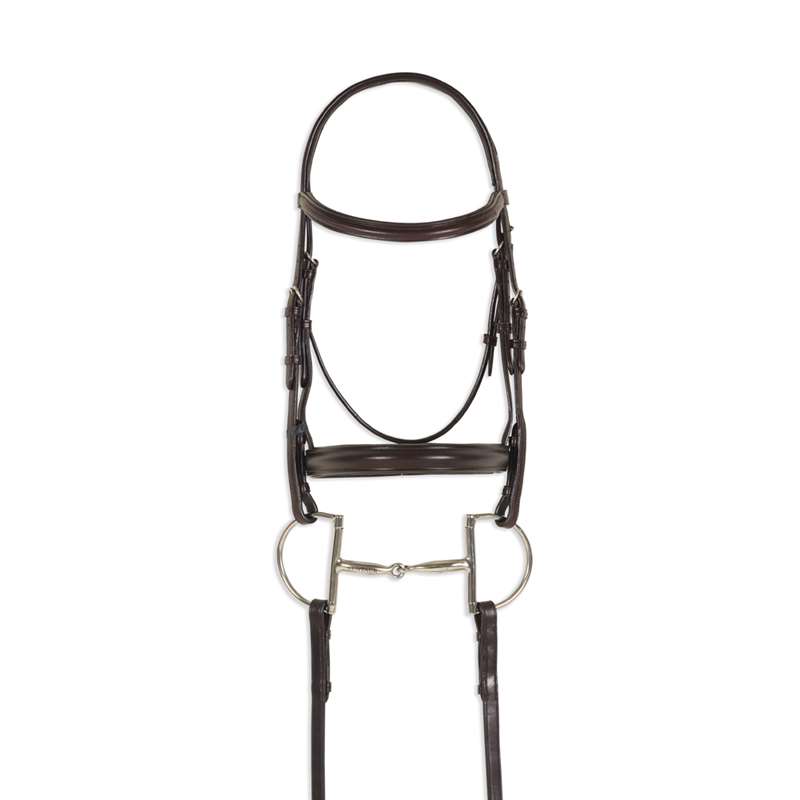 Ovation Breed Plain Raised Padded Bridle- Arabian