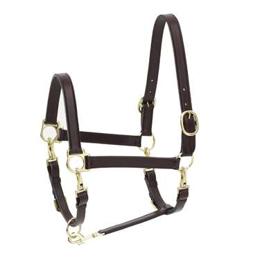4-Way Leather Grooming Halter
