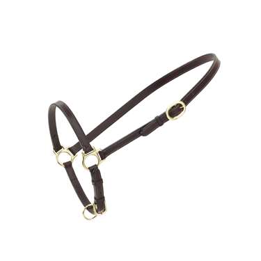 Leather Traditional Grooming Halter