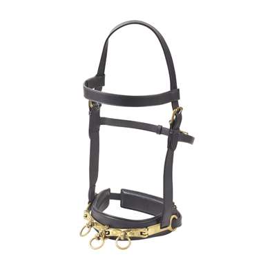 Camelot Leather Lunging Cavesson