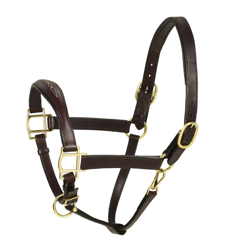 Aramas Leather Fancy Raised ZERO Shape Padded Halter