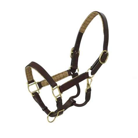 Flat Padded Halter 1in