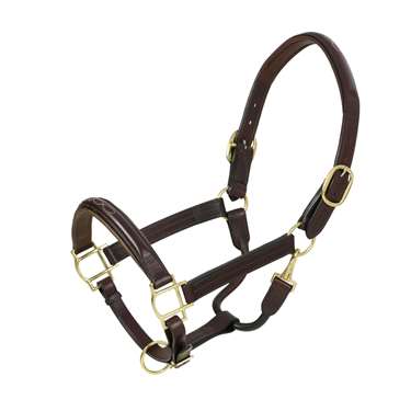 Fancy Raised Padded Halter with Brass Snaps