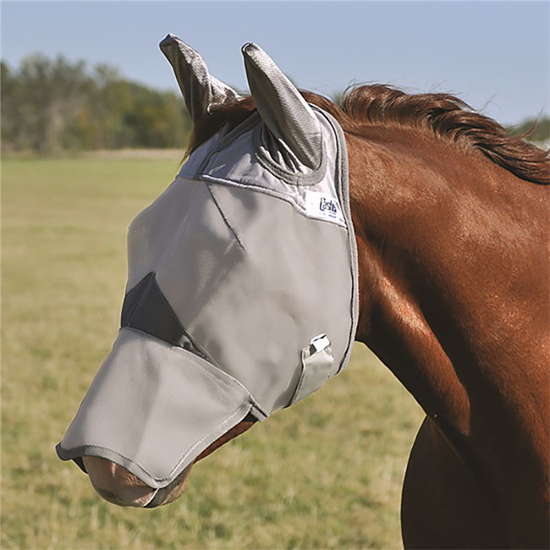 Crusader Mule Fly Mask with Long Nose and Ears