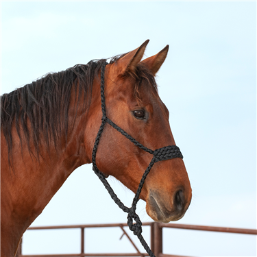 Classic Equine Wide Nose Flat Braid Halter and Leadrope