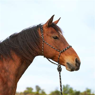 Cashel Knotless Halter and 9-foot Leadrope