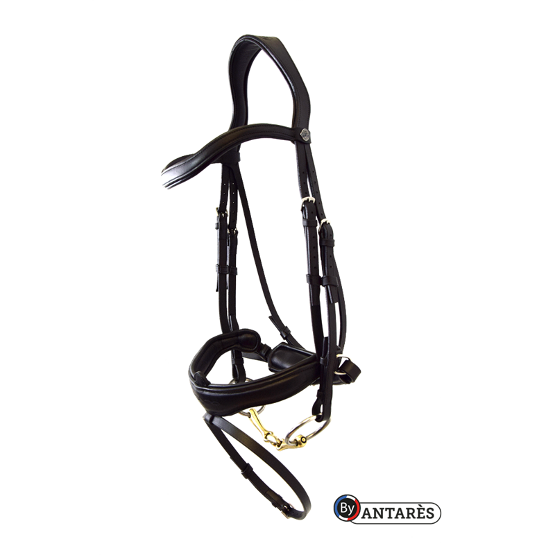 Signature Dressage Bridle