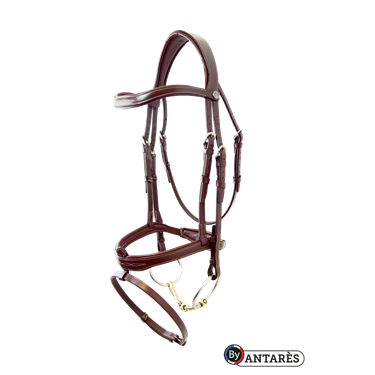 Signature Flash Noseband Bridle