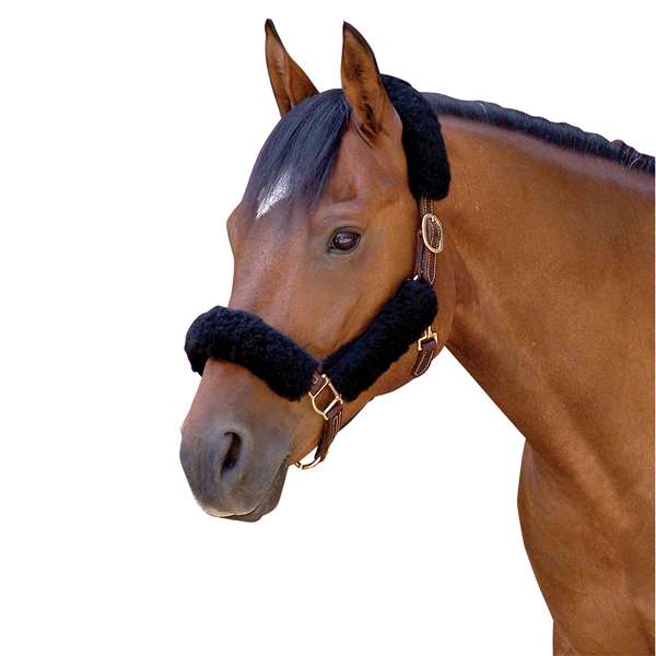 CoolBack Noseband Halter Tube Set