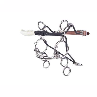 Myler Gag Lynn McKenzie  3-Ring Combination Bit with Tie Down and Sweet Iron Mullen Triple Barrel MB 32-3, Level 2, Size 5"