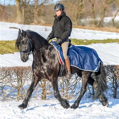 ucas Riding Rug