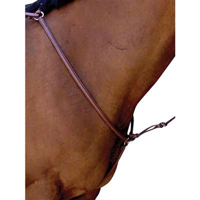 Passport Plain Raised Breastplate