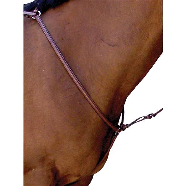 Passport Plain Raised Breastplate